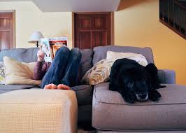 En person læser sidder med optrukne ben og læser avis, mens hunden ligger ved siden af
